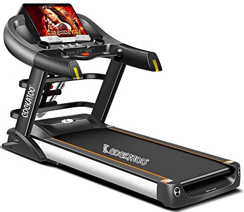 cockatoo treadmill